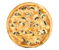 Funghi
